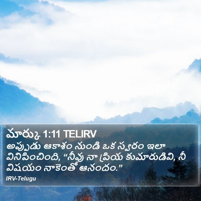 మార్కు 1:11 TELIRV Bible Verse Image