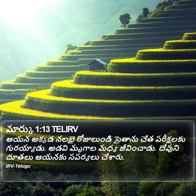 మార్కు 1:13 TELIRV Bible Verse Image