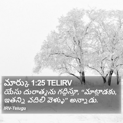 మార్కు 1:25 TELIRV Bible Verse Image