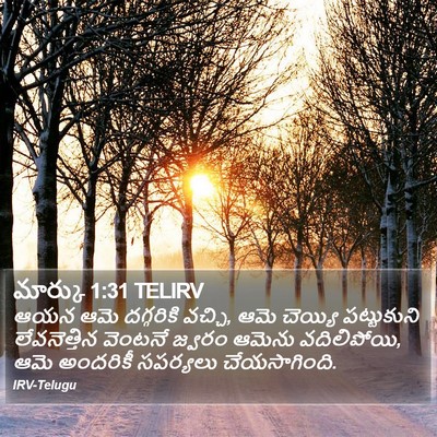మార్కు 1:31 TELIRV Bible Verse Image