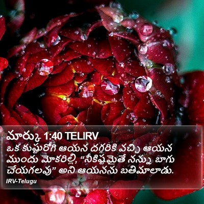 మార్కు 1:40 TELIRV Bible Verse Image