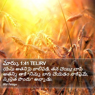 మార్కు 1:41 TELIRV Bible Verse Image
