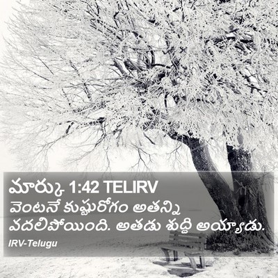 మార్కు 1:42 TELIRV Bible Verse Image
