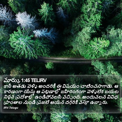 మార్కు 1:45 TELIRV Bible Verse Image