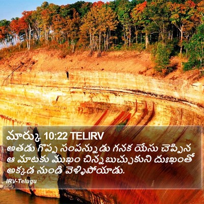 మార్కు 10:22 TELIRV Bible Verse Image
