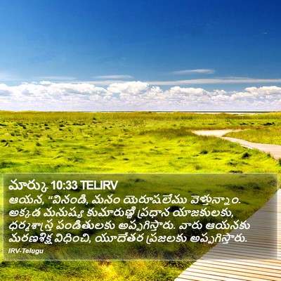 మార్కు 10:33 TELIRV Bible Verse Image