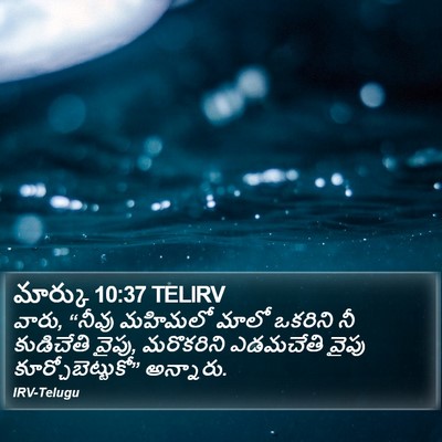 మార్కు 10:37 TELIRV Bible Verse Image