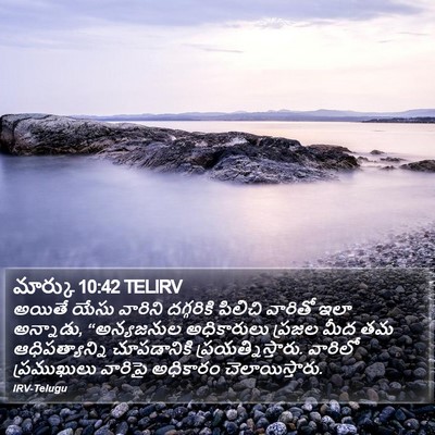 మార్కు 10:42 TELIRV Bible Verse Image