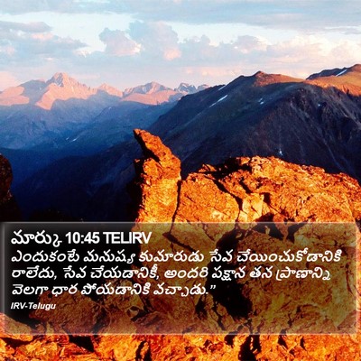 మార్కు 10:45 TELIRV Bible Verse Image