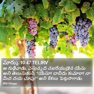 మార్కు 10:47 TELIRV Bible Verse Image