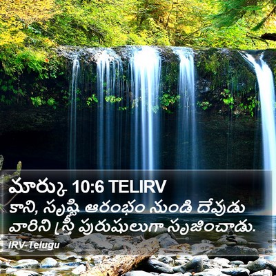 మార్కు 10:6 TELIRV Bible Verse Image