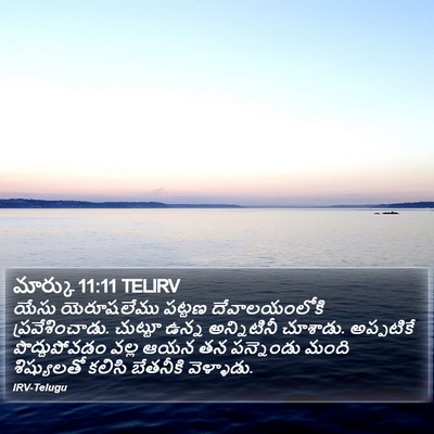 మార్కు 11:11 TELIRV Bible Verse Image