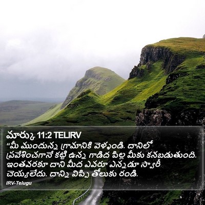 మార్కు 11:2 TELIRV Bible Verse Image