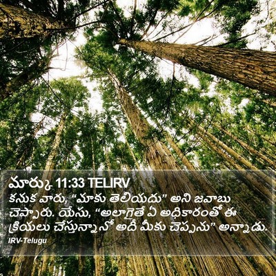 మార్కు 11:33 TELIRV Bible Verse Image