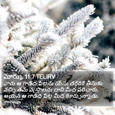 మార్కు 11:7 TELIRV Bible Verse Image