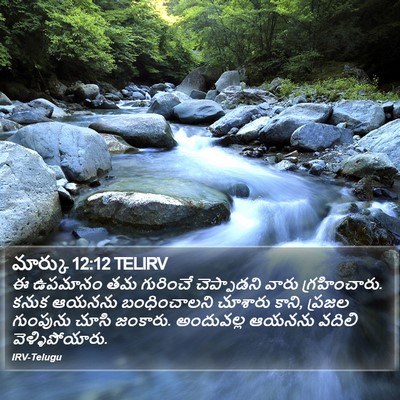 మార్కు 12:12 TELIRV Bible Verse Image