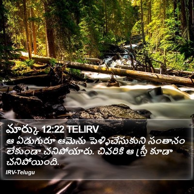 మార్కు 12:22 TELIRV Bible Verse Image