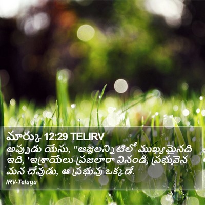 మార్కు 12:29 TELIRV Bible Verse Image