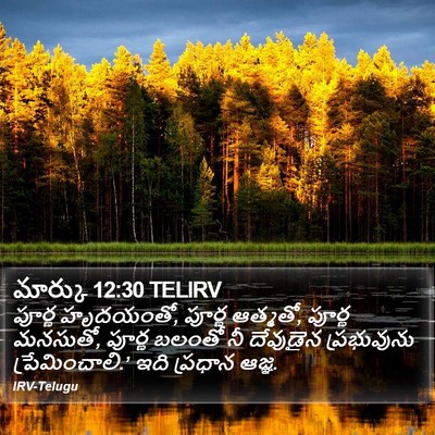 మార్కు 12:30 TELIRV Bible Verse Image