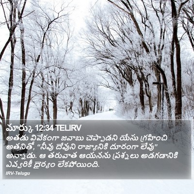 మార్కు 12:34 TELIRV Bible Verse Image