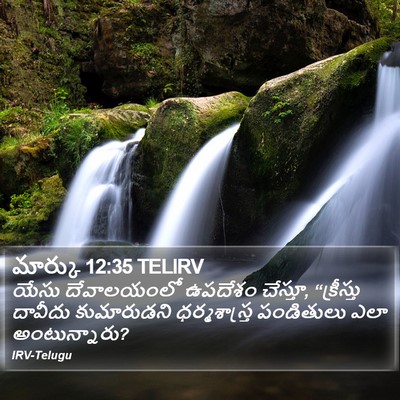 మార్కు 12:35 TELIRV Bible Verse Image
