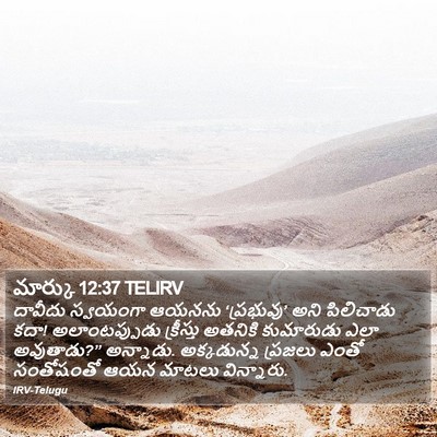 మార్కు 12:37 TELIRV Bible Verse Image