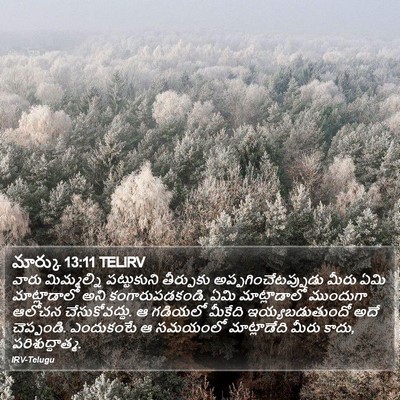 మార్కు 13:11 TELIRV Bible Verse Image