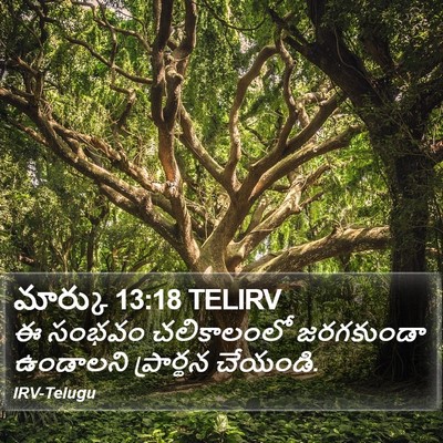 మార్కు 13:18 TELIRV Bible Verse Image