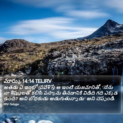 మార్కు 14:14 TELIRV Bible Verse Image