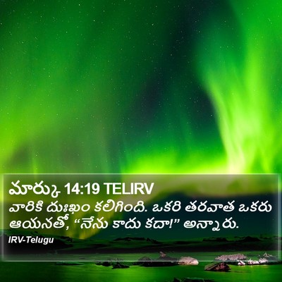 మార్కు 14:19 TELIRV Bible Verse Image