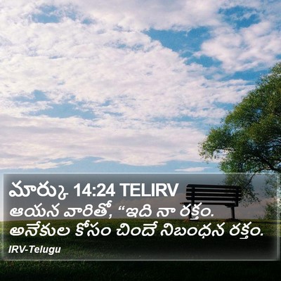 మార్కు 14:24 TELIRV Bible Verse Image