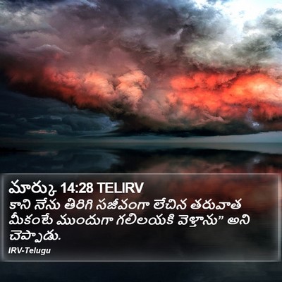 మార్కు 14:28 TELIRV Bible Verse Image