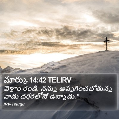 మార్కు 14:42 TELIRV Bible Verse Image