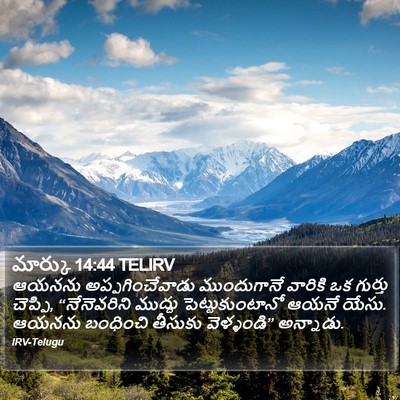 మార్కు 14:44 TELIRV Bible Verse Image