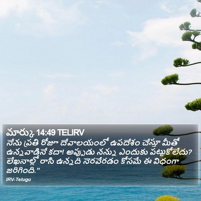 మార్కు 14:49 TELIRV Bible Verse Image