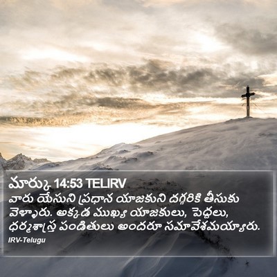 మార్కు 14:53 TELIRV Bible Verse Image