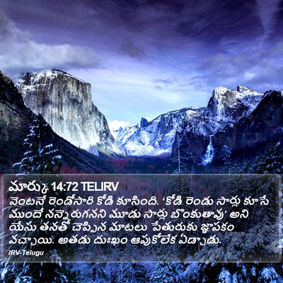 మార్కు 14:72 TELIRV Bible Verse Image