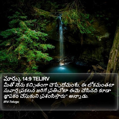 మార్కు 14:9 TELIRV Bible Verse Image