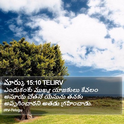 మార్కు 15:10 TELIRV Bible Verse Image