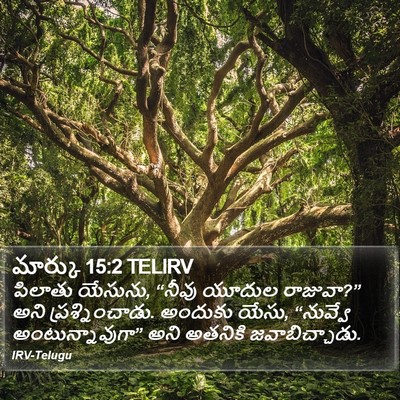 మార్కు 15:2 TELIRV Bible Verse Image