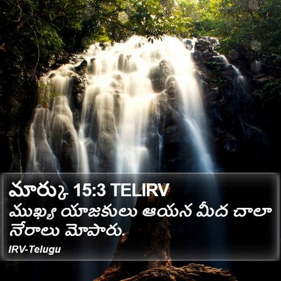మార్కు 15:3 TELIRV Bible Verse Image