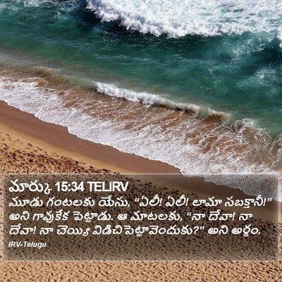 మార్కు 15:34 TELIRV Bible Verse Image