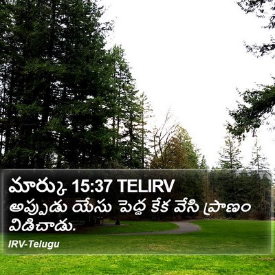 మార్కు 15:37 TELIRV Bible Verse Image
