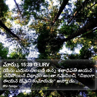 మార్కు 15:39 TELIRV Bible Verse Image