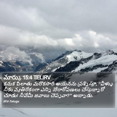 మార్కు 15:4 TELIRV Bible Verse Image