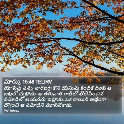 మార్కు 15:46 TELIRV Bible Verse Image