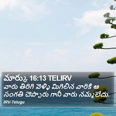 మార్కు 16:13 TELIRV Bible Verse Image