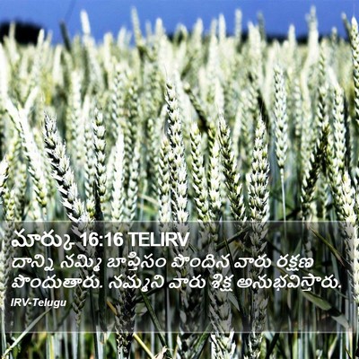 మార్కు 16:16 TELIRV Bible Verse Image