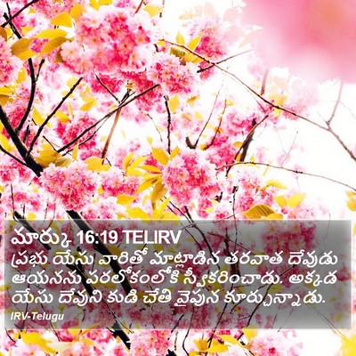 మార్కు 16:19 TELIRV Bible Verse Image