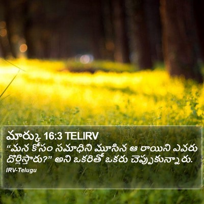 మార్కు 16:3 TELIRV Bible Verse Image